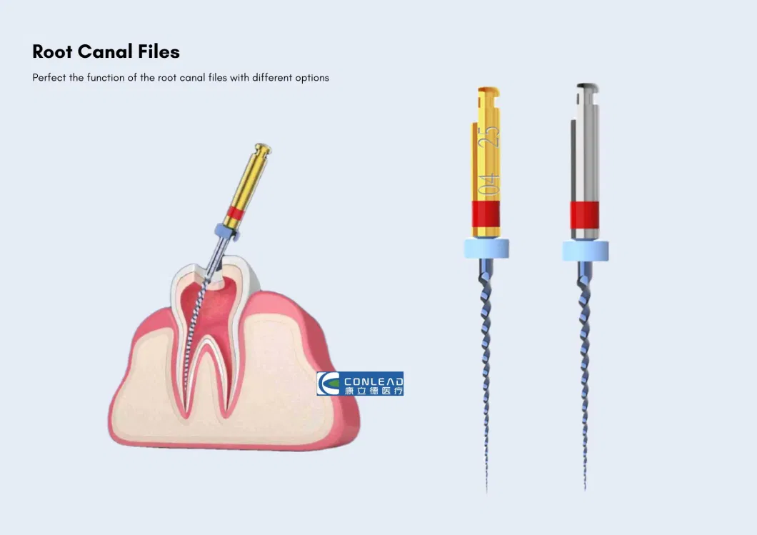 High Compatible Dental Endodontic Root Canal Files